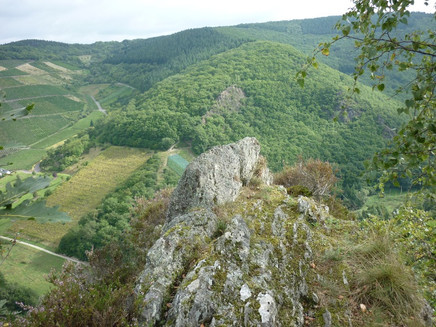 View over the Veldenz Brook Valley to the Langen Hammer Rock