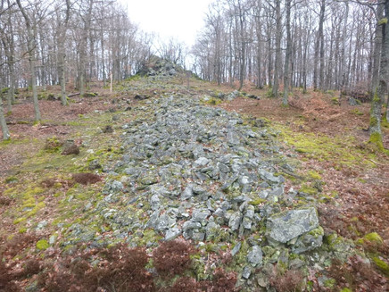 Stone wall of the heathland wall