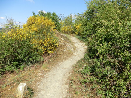 ...auf dem Kirster Grat