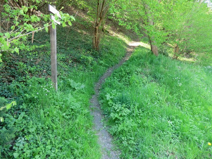 Pfad an der Klosterkirche Enkirch