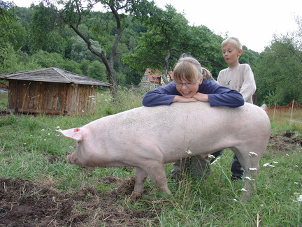 Schulbauernhof im Internatsdorf Haubinda
