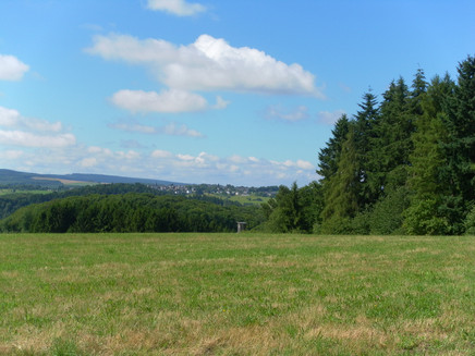 Hunsrück-Weitblick am