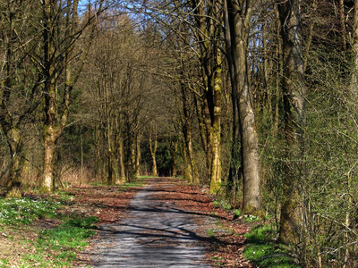 Access route of the miners