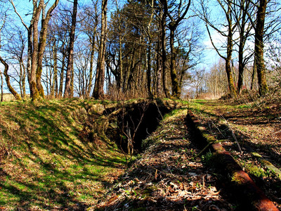 Track bed inclined elevator