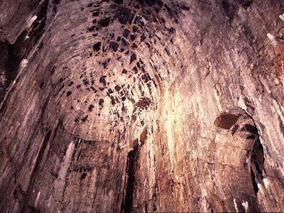 Oval bike shed Thurm Rosenhof