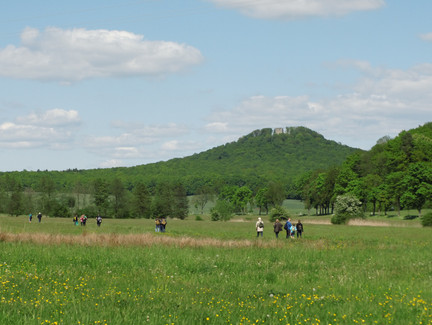 Blick zum Straufhain