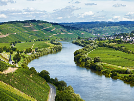 Moseltal bei Brauneberg