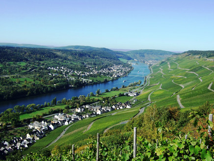 Blick ins Moseltal, Graach, Wehlen und Schleuse Zeltingen