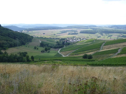 Blick auf Krettnach und das Konzer Tälchen