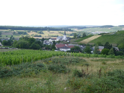 Krettnach umgeben von Weinbergen