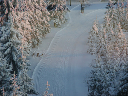 Loipe Friedrichshöhe