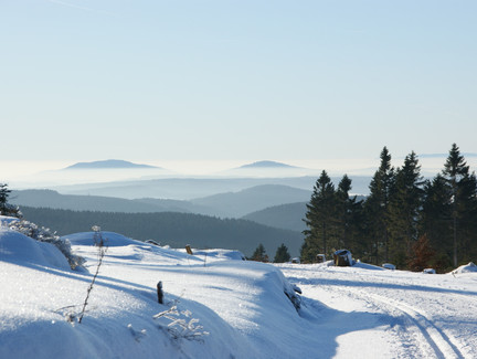 Loipe Friedrichshöhe