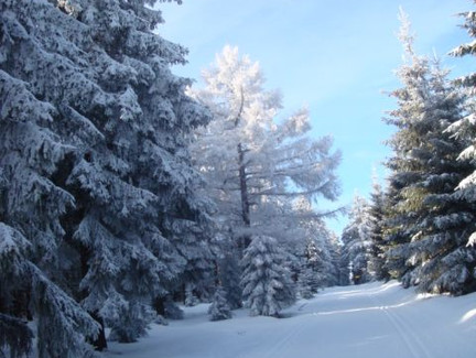 Loipe rund um den Fellberg