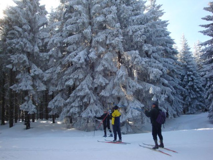 Loipe rund um den Fellberg