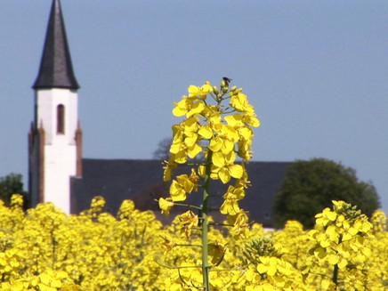 Pfarrkirche St. Martin in Merzkirchen