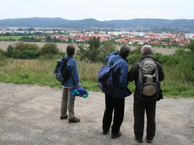Blick von der Charlottenlust auf Wernigerode