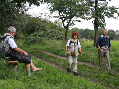 Rast bei Veckenstedt