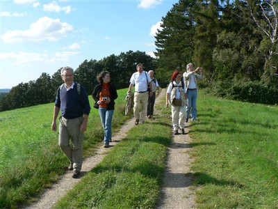 Kammweg Kleiner Fallstein
