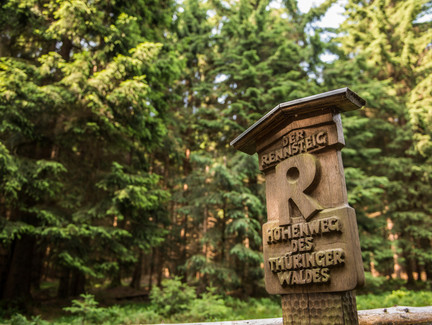 Rennsteig im Thüringer Wald