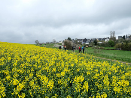 Hunsrück landscape near Fronhofen