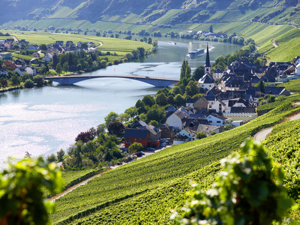 Blick auf Alt-Piesport