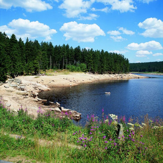 Oderteich bei St. Andreasberg