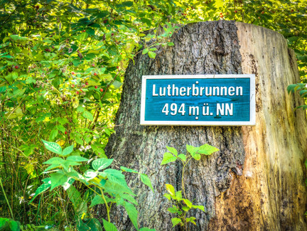 Lutherbrunnen auf 494 m ü. NN