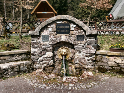 Werraquelle bei Fehrenbach