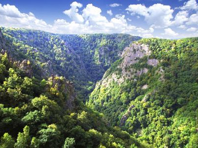 The Rosstrappe in the Bodetal