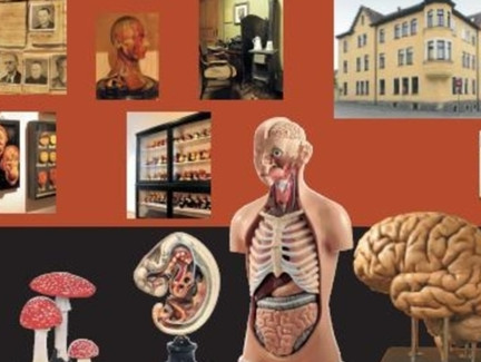 SOMSO-Museum - Sonneberg