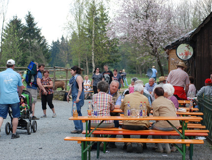 Ausflugsbiergarten für Wandrer, Spaziergänger und Radfahrer - Wildbergcafé - Tettau