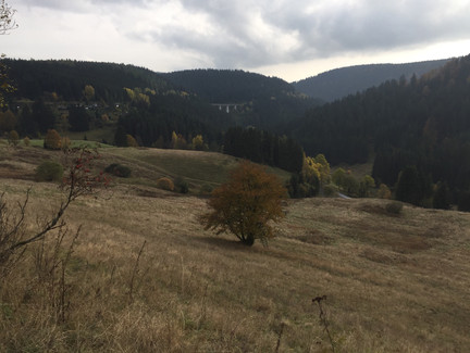 Blick ins Steinachtal mit der Brücke Nasse Telle