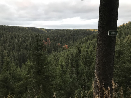 Blick ins Tal zur Alten Mutter