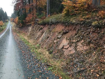 Schiefer, aus dem Griffel zum Schreiben hergestellt wurden, am Wegesrand