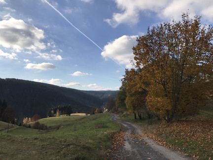 Steinachgrund
