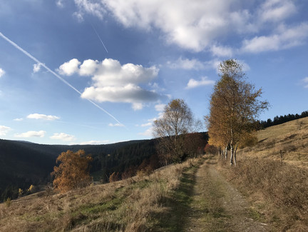 Blick zum Saltohang
