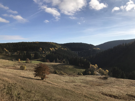 Brückenblick Nasse Telle