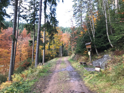 Bergquelle