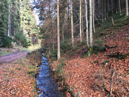 Blick ins Tal zur Alten Mutter