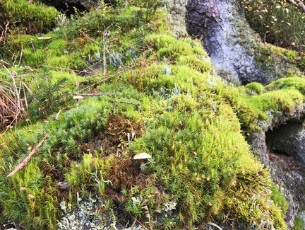 Herbstzeit