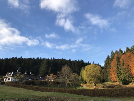 Die Rosenburg