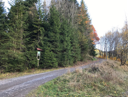 Weg zur Eller