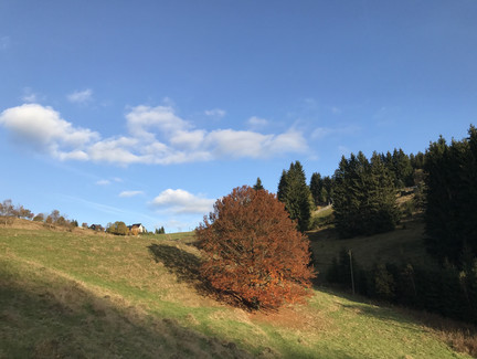 Blick zur Eller