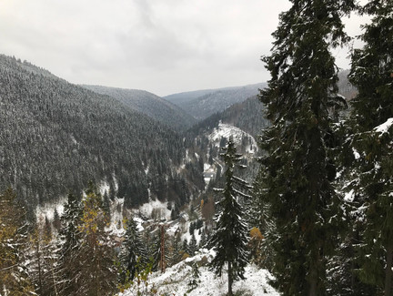 Blicks ins Steinachtal