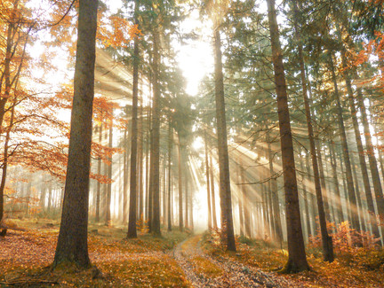 Fehrenbacher Schweiz