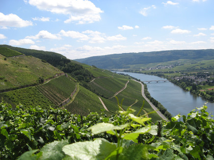 Bezaubernder Ausblick auf das Moseltal bei Schweich, Longuich & Riol