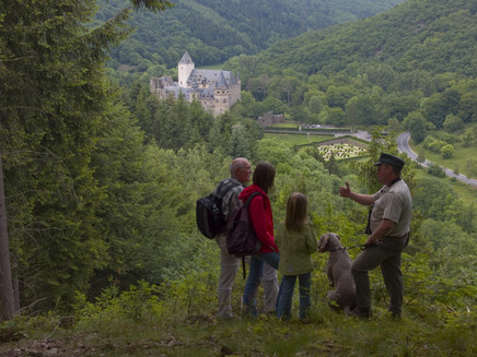 Blick auf Schloss Bürresheim