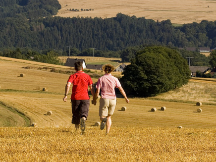 Fields near Wanderath