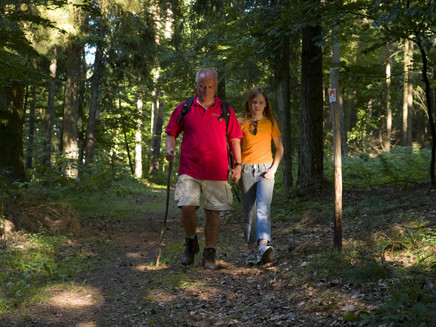 In the forest near Wanderath