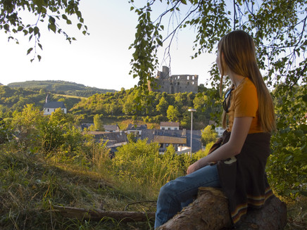 View of the Virneburg